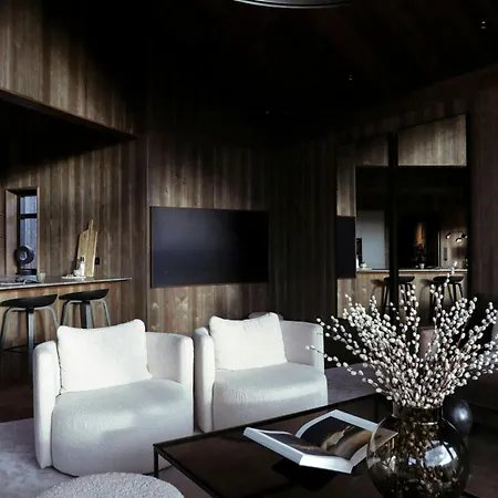 Modern Mountain With Views In